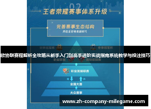 欧协联赛程解析全攻略从新手入门到高手进阶实战指南系统教学与投注技巧 欧协联赛程解析全攻略从新手入门到高手进阶实战指南系统教学与投注技巧